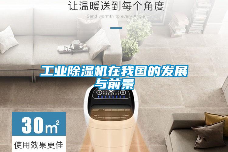 工業(yè)除濕機(jī)在我國的發(fā)展與前景