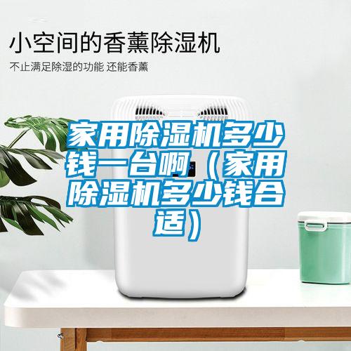 家用除濕機(jī)多少錢一臺?。矣贸凉駲C(jī)多少錢合適）