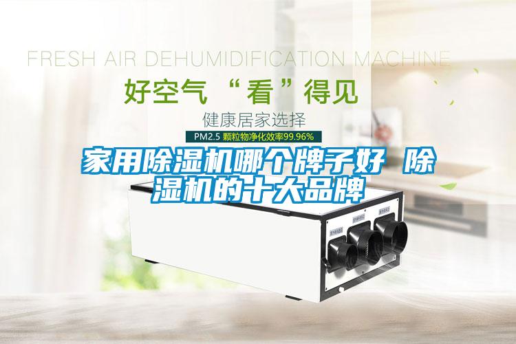 家用除濕機(jī)哪個牌子好 除濕機(jī)的十大品牌