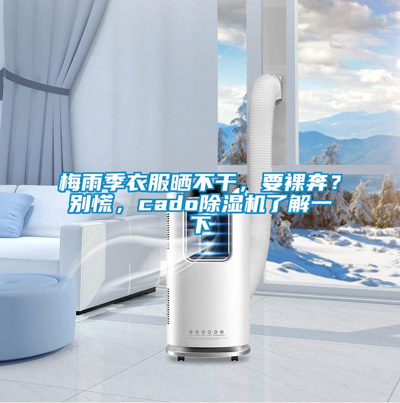 梅雨季衣服曬不干，要裸奔？別慌，cado除濕機了解一下