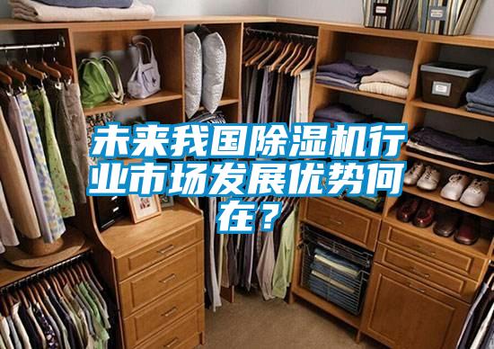 未來我國除濕機(jī)行業(yè)市場(chǎng)發(fā)展優(yōu)勢(shì)何在？