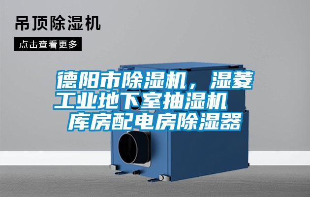 德陽市除濕機，濕菱工業(yè)地下室抽濕機  庫房配電房除濕器
