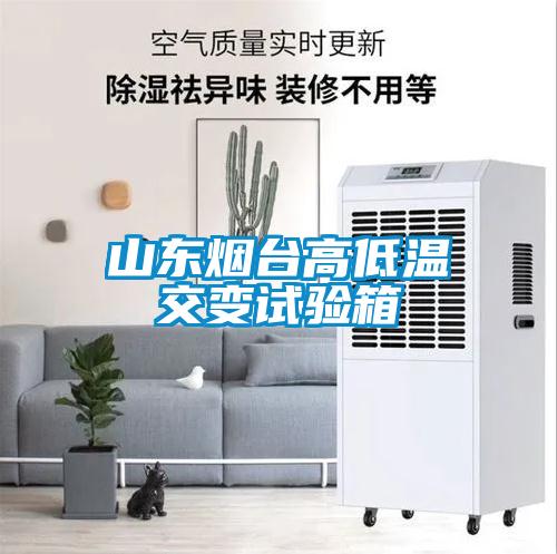 山東煙臺高低溫交變試驗(yàn)箱
