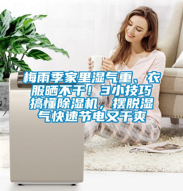 梅雨季家里濕氣重、衣服曬不干！3小技巧搞懂除濕機(jī)，擺脫濕氣快速節(jié)電又干爽