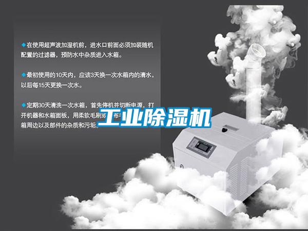 工業(yè)除濕機(jī)