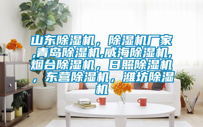 山東除濕機(jī)，除濕機(jī)廠家,青島除濕機(jī),威海除濕機(jī),煙臺除濕機(jī)，日照除濕機(jī)，東營除濕機(jī)，濰坊除濕機(jī)