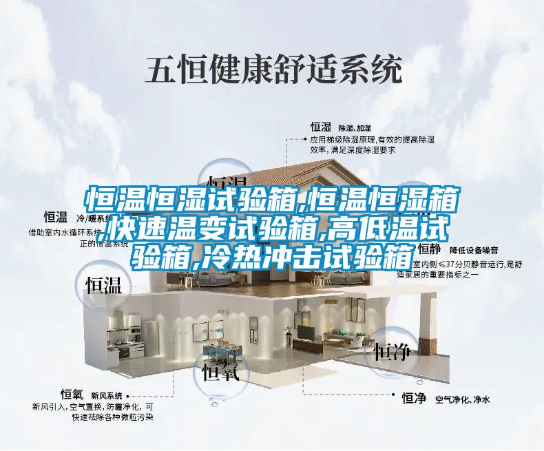 恒溫恒濕試驗(yàn)箱,恒溫恒濕箱,快速溫變試驗(yàn)箱,高低溫試驗(yàn)箱,冷熱沖擊試驗(yàn)箱