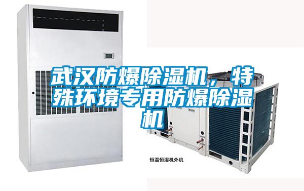 武漢防爆除濕機(jī)，特殊環(huán)境專用防爆除濕機(jī)