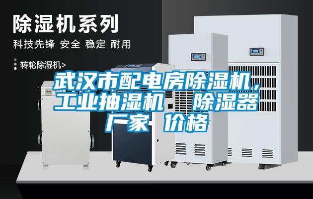 武漢市配電房除濕機，工業(yè)抽濕機  除濕器廠家 價格