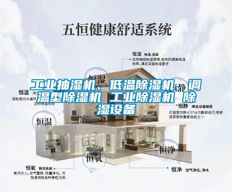 工業(yè)抽濕機(jī)、低溫除濕機(jī)、調(diào)溫型除濕機(jī) 工業(yè)除濕機(jī) 除濕設(shè)備