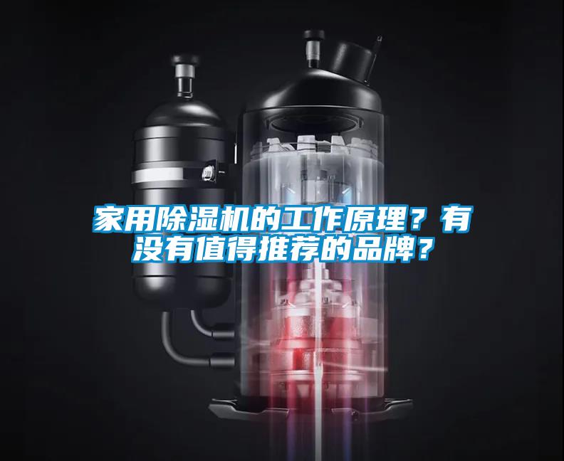 家用除濕機的工作原理？有沒有值得推薦的品牌？