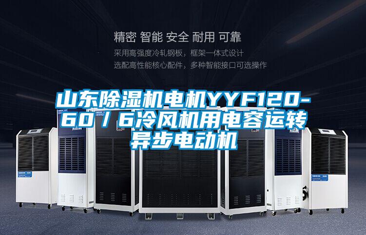 山東除濕機電機YYF120-60／6冷風機用電容運轉(zhuǎn)異步電動機