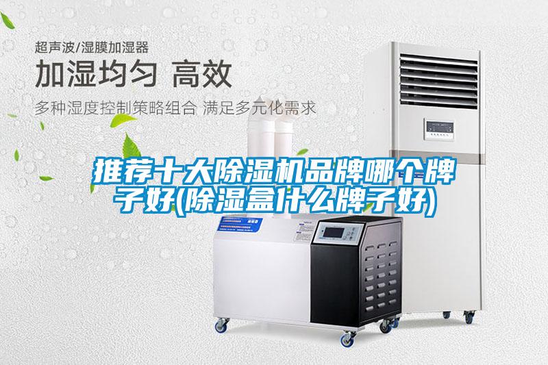 推薦十大除濕機品牌哪個牌子好(除濕盒什么牌子好)