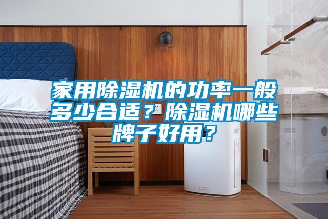 家用除濕機的功率一般多少合適？除濕機哪些牌子好用？