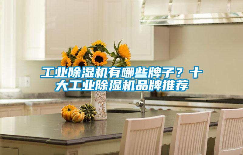 工業(yè)除濕機有哪些牌子？十大工業(yè)除濕機品牌推薦