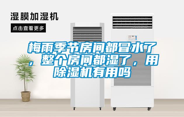 梅雨季節(jié)房間都冒水了，整個(gè)房間都濕了，用除濕機(jī)有用嗎