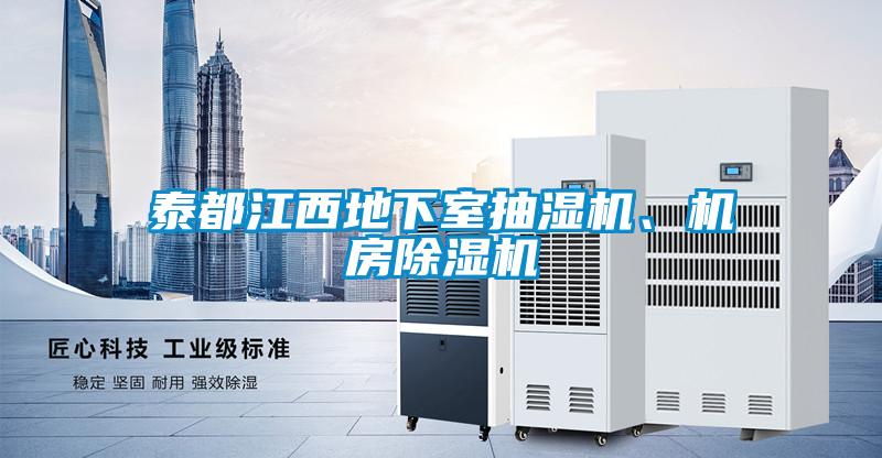 泰都江西地下室抽濕機(jī)、機(jī)房除濕機(jī)