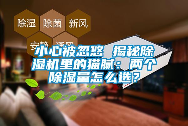 小心被忽悠 揭秘除濕機(jī)里的貓膩：兩個(gè)除濕量怎么選？