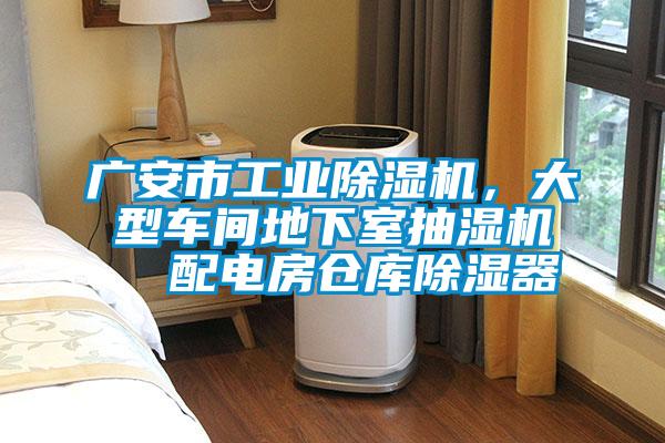 廣安市工業(yè)除濕機，大型車間地下室抽濕機  配電房倉庫除濕器