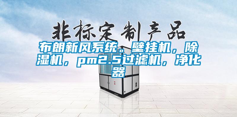 布朗新風(fēng)系統(tǒng)。壁掛機，除濕機，pm2.5過濾機，凈化器