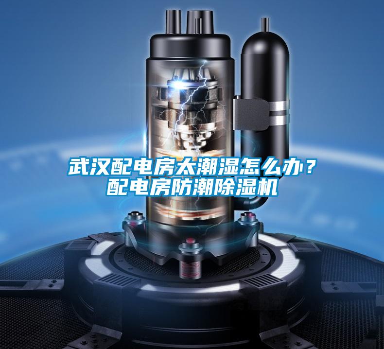 武漢配電房太潮濕怎么辦？配電房防潮除濕機(jī)