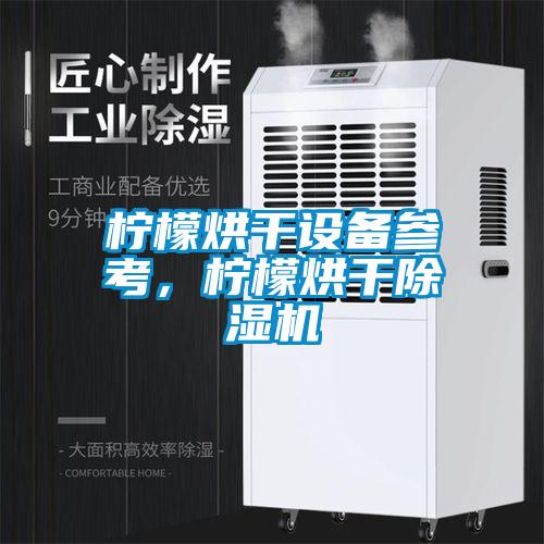 檸檬烘干設(shè)備參考，檸檬烘干除濕機
