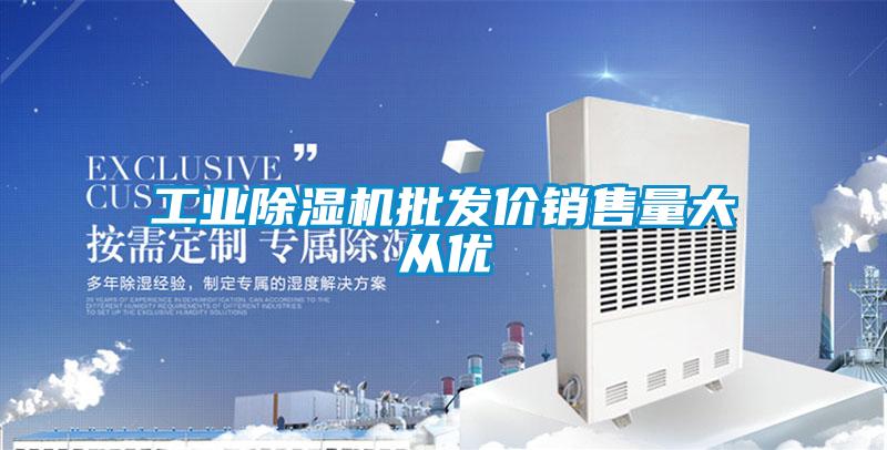 工業(yè)除濕機(jī)批發(fā)價(jià)銷(xiāo)售量大從優(yōu)