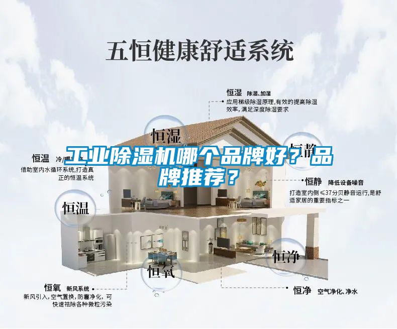 工業(yè)除濕機哪個品牌好？品牌推薦？