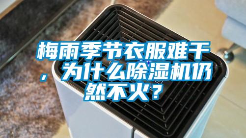 梅雨季節(jié)衣服難干，為什么除濕機(jī)仍然不火？