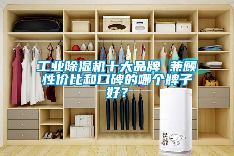 工業(yè)除濕機(jī)十大品牌 兼顧性價比和口碑的哪個牌子好？