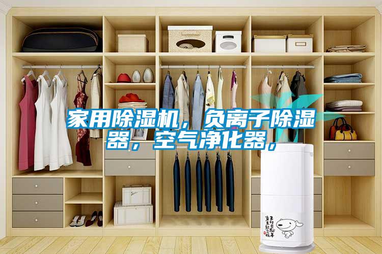 家用除濕機(jī)，負(fù)離子除濕器，空氣凈化器，