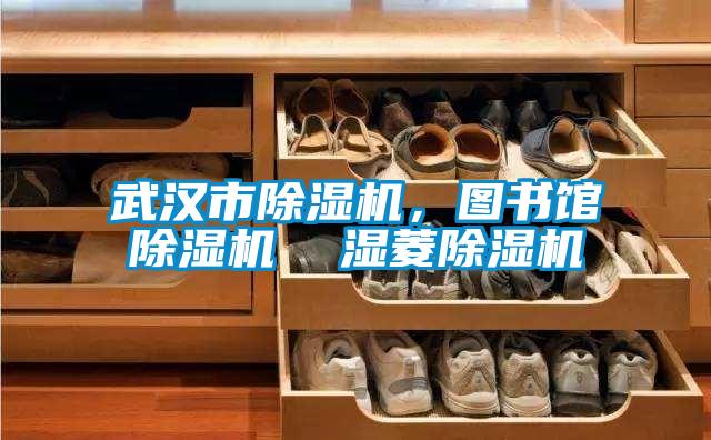 武漢市除濕機(jī)，圖書館除濕機(jī)  濕菱除濕機(jī)