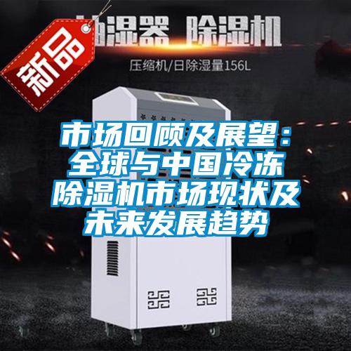 市場(chǎng)回顧及展望：全球與中國(guó)冷凍除濕機(jī)市場(chǎng)現(xiàn)狀及未來(lái)發(fā)展趨勢(shì)