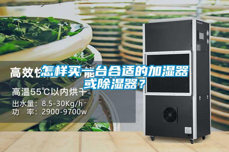 怎樣買一臺(tái)合適的加濕器或除濕器？