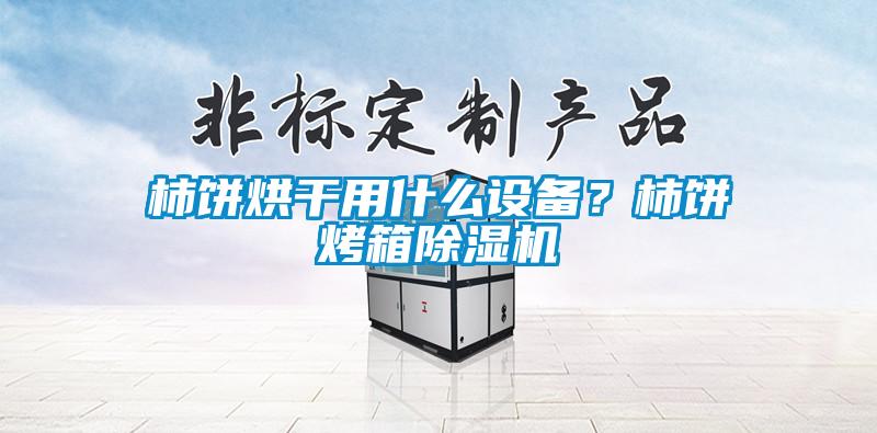 柿餅烘干用什么設(shè)備？柿餅烤箱除濕機(jī)