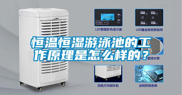 恒溫恒濕游泳池的工作原理是怎么樣的？