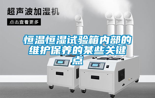 恒溫恒濕試驗箱內(nèi)部的維護(hù)保養(yǎng)的某些關(guān)鍵點