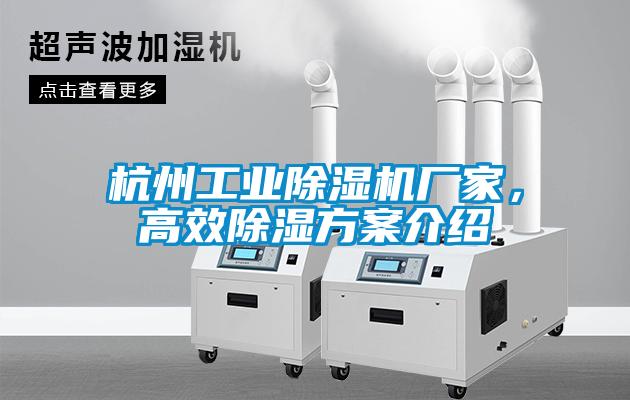 杭州工業(yè)除濕機(jī)廠家，高效除濕方案介紹