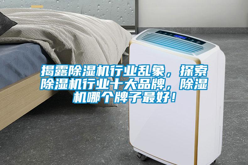 揭露除濕機行業(yè)亂象，探索除濕機行業(yè)十大品牌，除濕機哪個牌子最好！