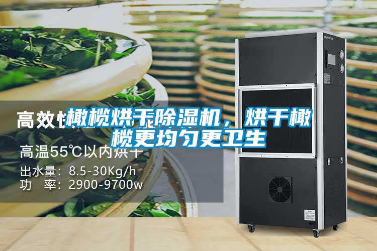 橄欖烘干除濕機(jī)，烘干橄欖更均勻更衛(wèi)生
