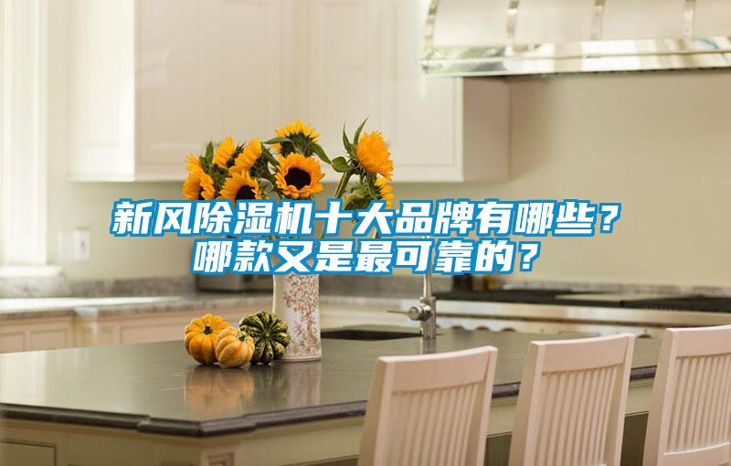 新風(fēng)除濕機(jī)十大品牌有哪些？哪款又是最可靠的？