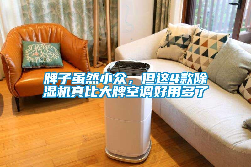 牌子雖然小眾，但這4款除濕機真比大牌空調(diào)好用多了