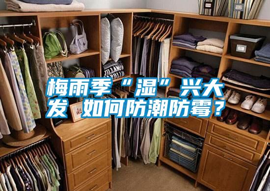 梅雨季“濕”興大發(fā) 如何防潮防霉？