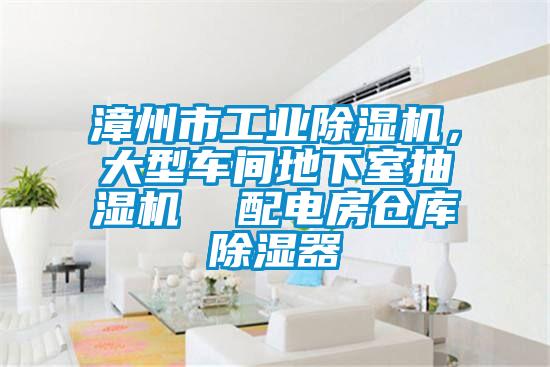 漳州市工業(yè)除濕機(jī)，大型車(chē)間地下室抽濕機(jī)  配電房倉(cāng)庫(kù)除濕器