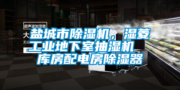 鹽城市除濕機(jī)，濕菱工業(yè)地下室抽濕機(jī)  庫(kù)房配電房除濕器