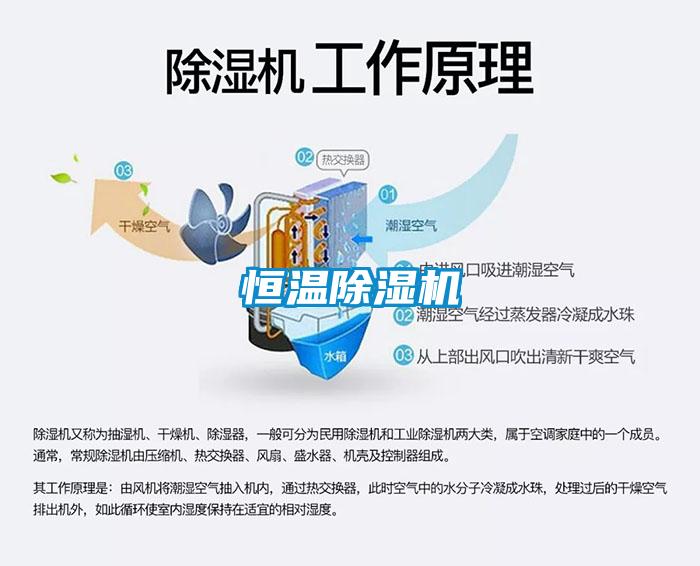 恒溫除濕機