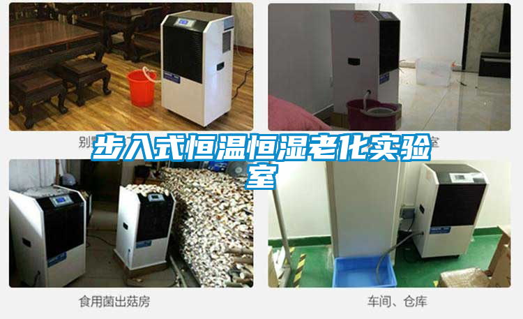 步入式恒溫恒濕老化實(shí)驗室