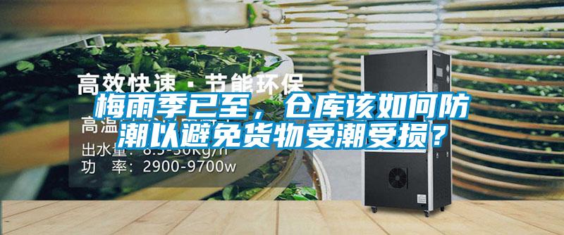 梅雨季已至，倉庫該如何防潮以避免貨物受潮受損？