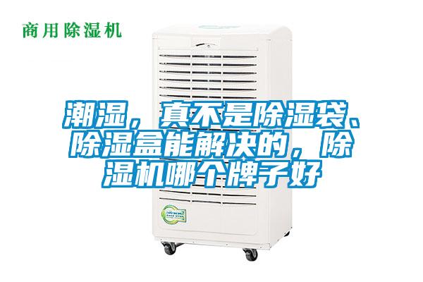 潮濕，真不是除濕袋、除濕盒能解決的，除濕機(jī)哪個(gè)牌子好