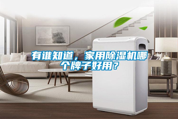 有誰知道，家用除濕機哪個牌子好用？